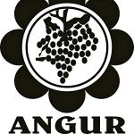 Angur Gym - Vatva - Ahmedabad