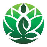 Anahata Yoga Zone - Kondapur - Hyderabad
