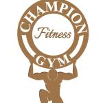Champion gym - Mansarover - Jaipur