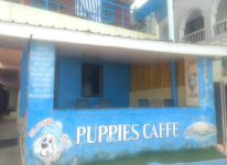 Puppies Caffe - Kovalam - Trivandrum