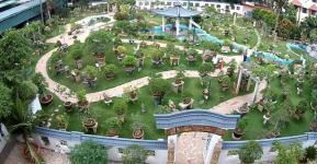 Bonsai Garden - Mysore