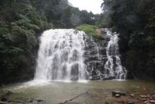Abbey Falls - Madikeri