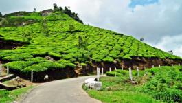 Photo Point - Munnar