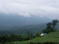 Thumpachi Kalveri Samuchayam - Idduki