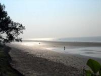 Bakkhali Beach - Bakkhali