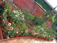 Panch Ganga Temple - Mahabaleshwar