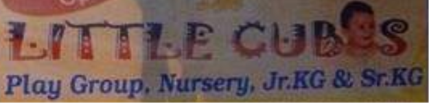 Little Cubs - Nalasopara - Mumbai