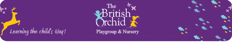 The British Orchid - Tardeo - Mumbai