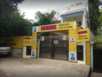Kidzee - AECS Layout - Bangalore