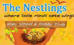 The Nestlings - Malviya Nagar - New Delhi