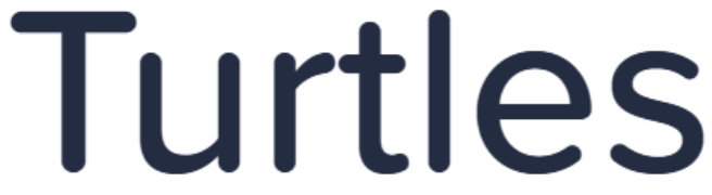 Turtles - Pitampura - New Delhi