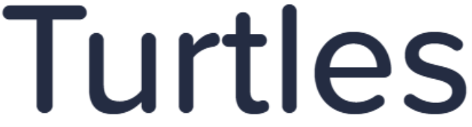 Turtles - Rajouri Garden - New Delhi