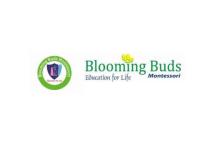 Blooming Buds Montessori - Saligramam - Chennai