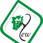 Yew Kidz World - Mogappair West - Chennai