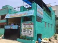 Blooming Daffodils - Kolathur - Chennai