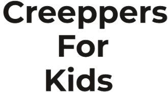 Creeppers for Kids - Old Washermanpet - Chennai