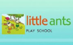 Little Ants Play School - Kilpauk - Chennai