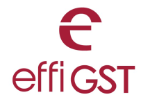 effiGST