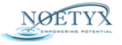 Visual Sales Manager