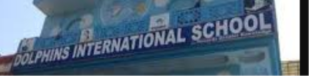 Dolphins International School - Pimpri-Chinchwad - Pune