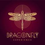 Dragonfly Experience - Chakala - Mumbai