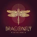 Dragonfly Experience - Aerocity - New Delhi