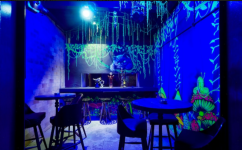 Tribe - Sarjapur Road - Bangalore