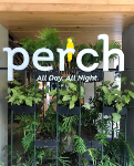 Perch All Day All Night - Shivaji Nagar - Pune