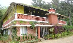 Falling Waters - Munnar