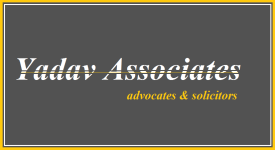 Yadav Associates - Delhi Image