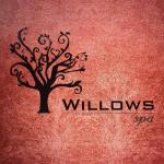 Willows Spa - Anna Nagar -...