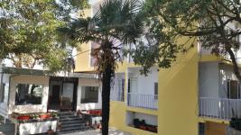 The Mountain Quail - Mussoorie