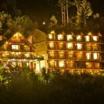 The Holiday Villa - Manali