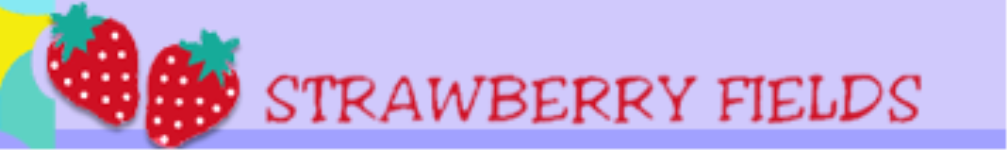 Strawberry Fields Play School