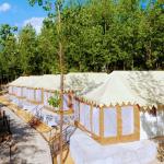 Dev Bhoomi Farms - Dharmshala