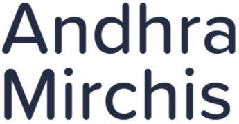 Andhra Mirchis - Perungudi - Chennai