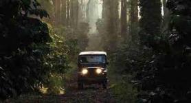 Khandelwal Holidays - Navi Mumbai