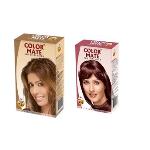 Color Mate Golden Brown and Mahogany Hair Color Cream