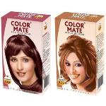 Color Mate Mahogany and Golden Copper Hair Color Cream