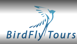 Birdfly Tours & Travels - Delhi