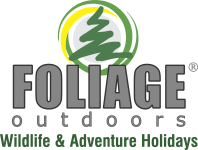 Foliage Tours & Travels - Pune