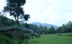 Andro Panam Ningthou Garden - Imphal