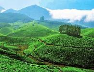 Umaa Tours & Travels - Kochi