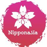 Nipponasia Tours & Events - Kochi