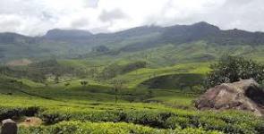 Munnar Rock Reservation & Tours - Kochi