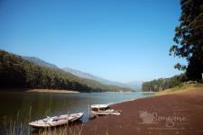 Sanguine Holidays- Kochi