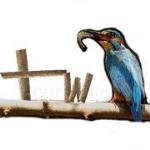 Tour wild Travels - Coimbatore