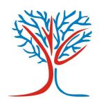 Salem Vascular Surgeon - Hasthampatti - Salem