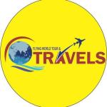 Flying World Tour & Travels - Lucknow