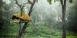 Wayanad Tour - Thiruvananthapuram